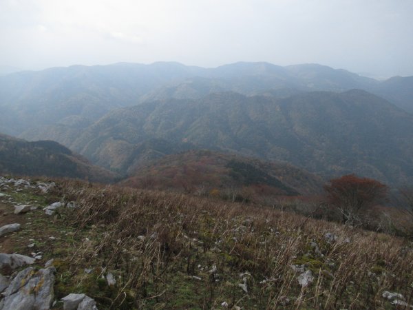 榑ヶ畑道七合目・お猿岩